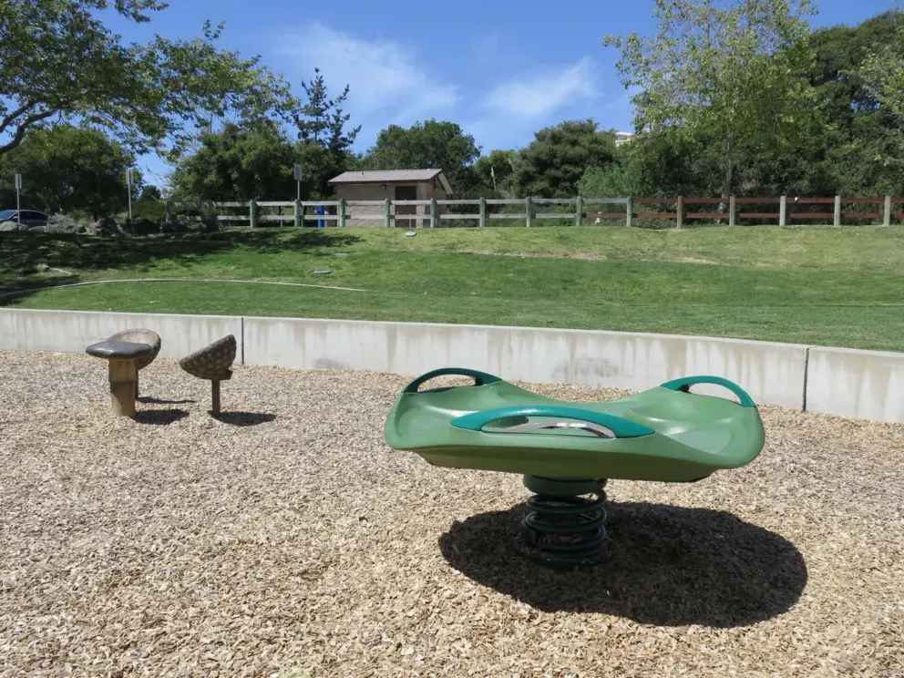 Spinner at the toddler playground. 