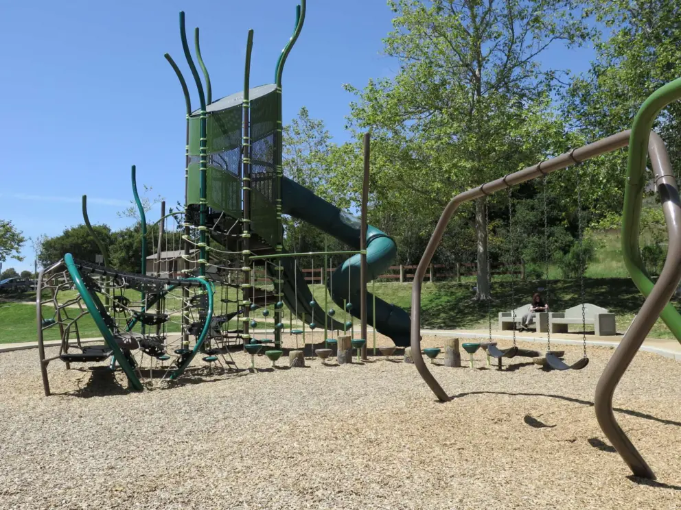Swings and the huge playground. 