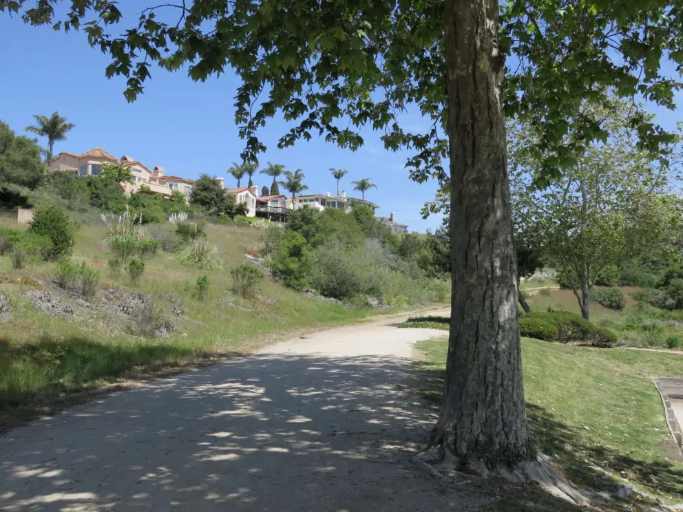 The beginning of the trail.