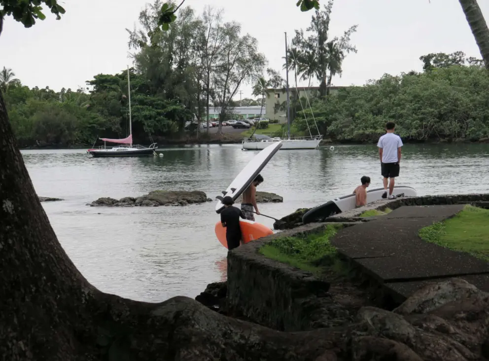 Entering the water with stand up paddle boards. 