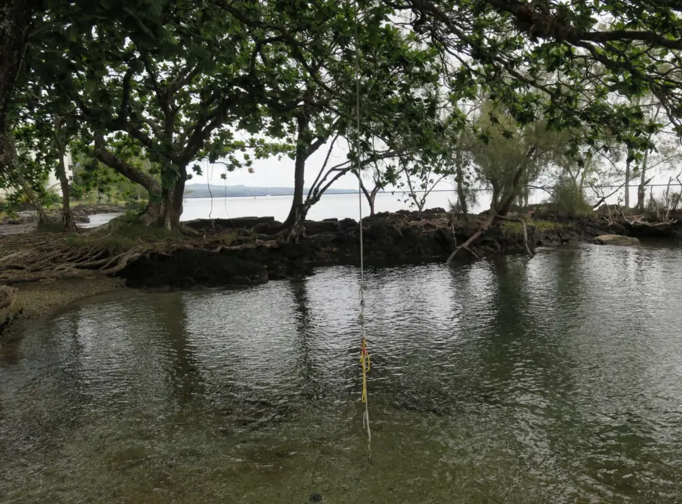 A tarzan rope over the water, at the left side of the park. 