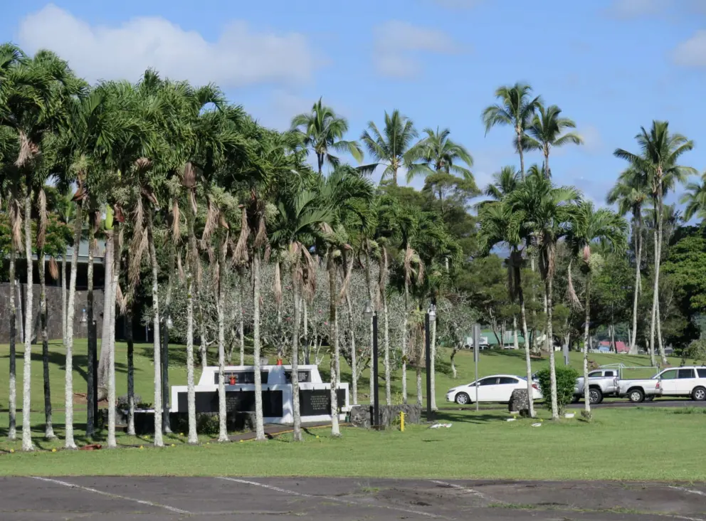 Thin palms surround the Vietnam War Memorial.