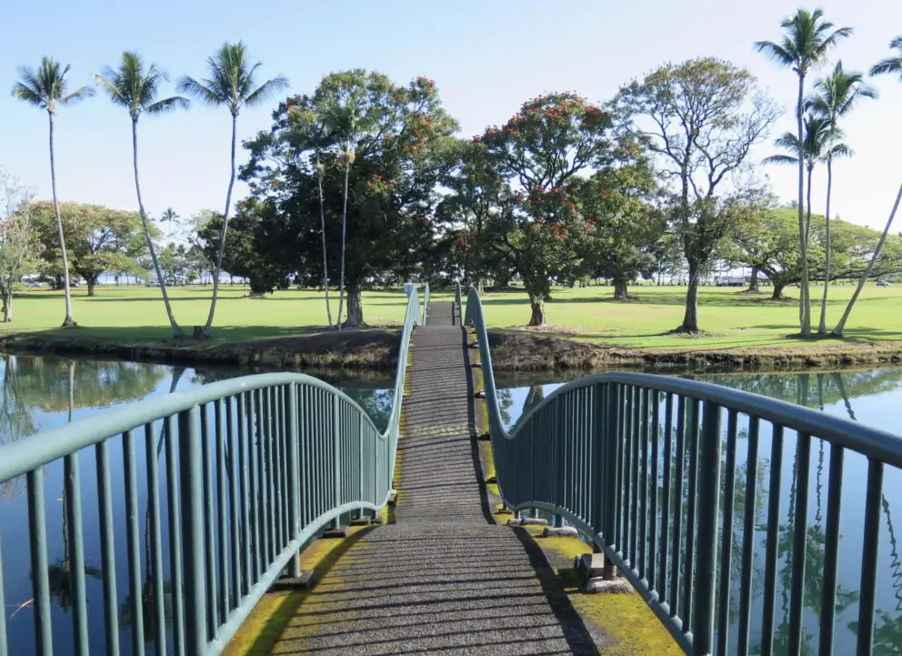 The bridge is amazing. 