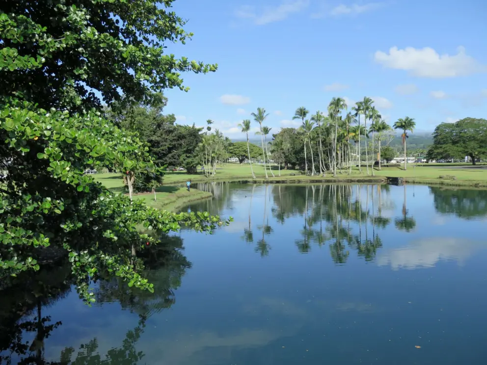 Reflections in the water. 