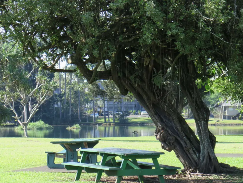Picnic tables with views of the water. 