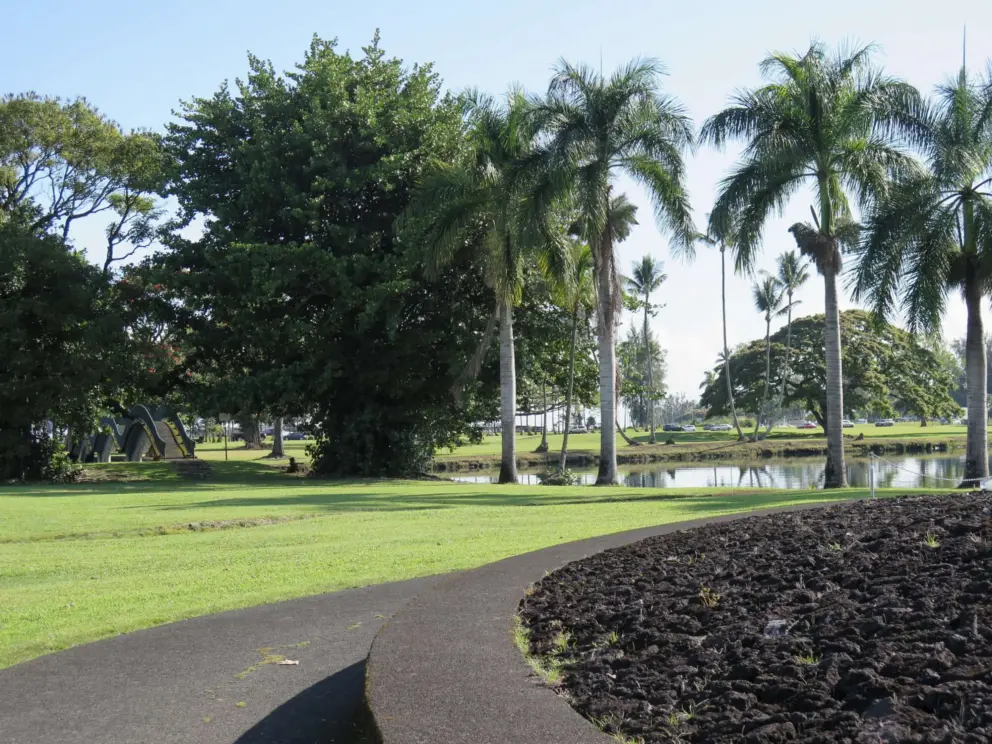 A lava rock circle. 