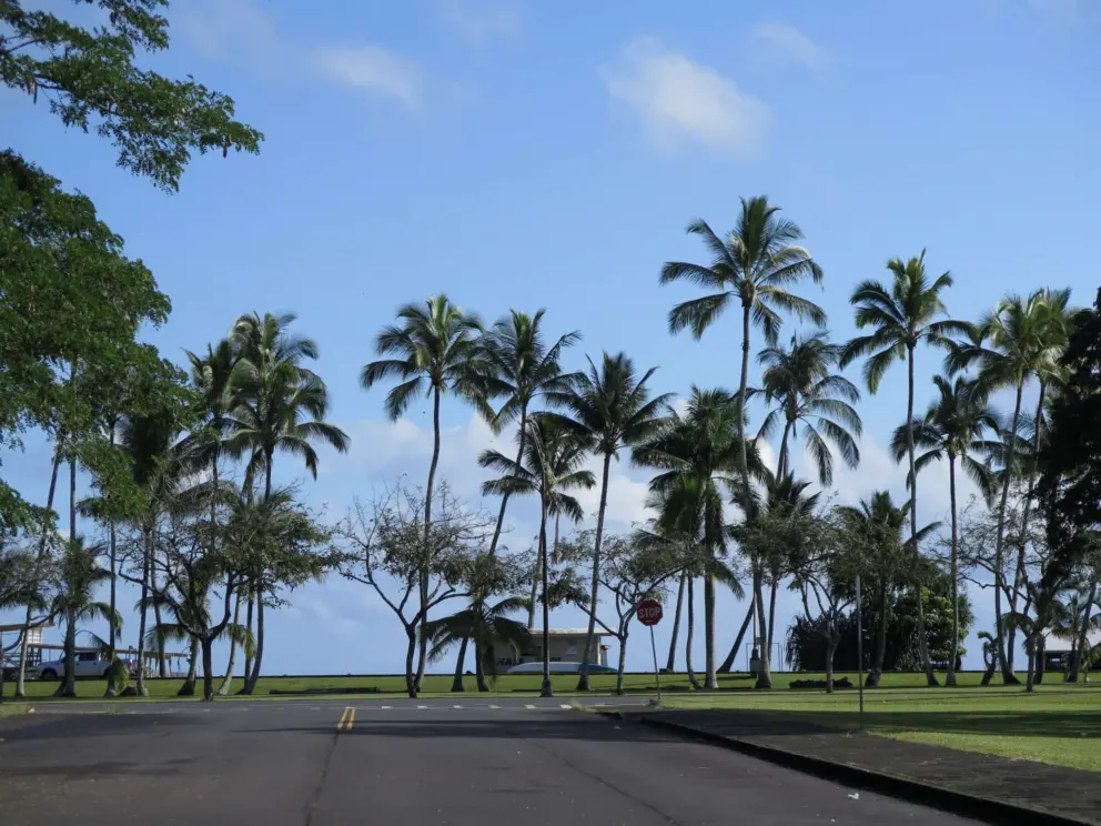 Looking toward the bayfront from the statue. 
