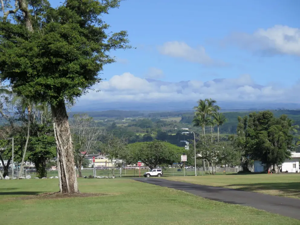 Looking down Bishop Street toward Mauna Kea from the statue. 