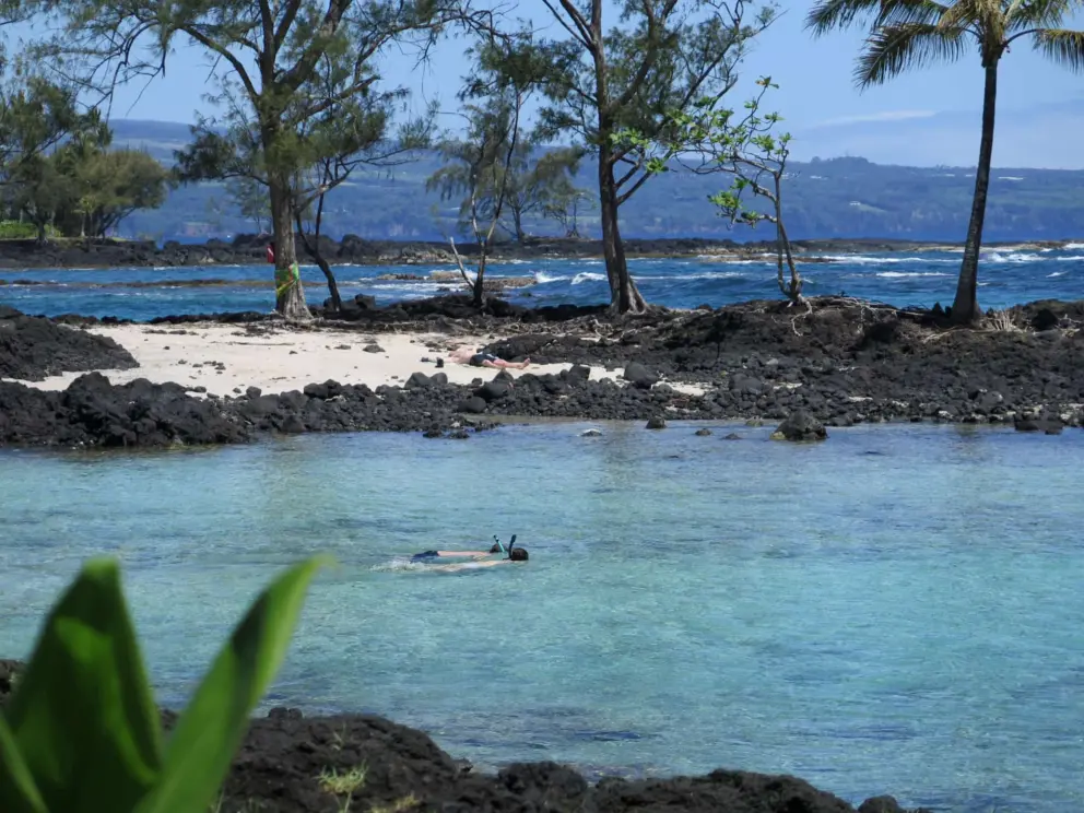 Snorkeling in the clear water. 