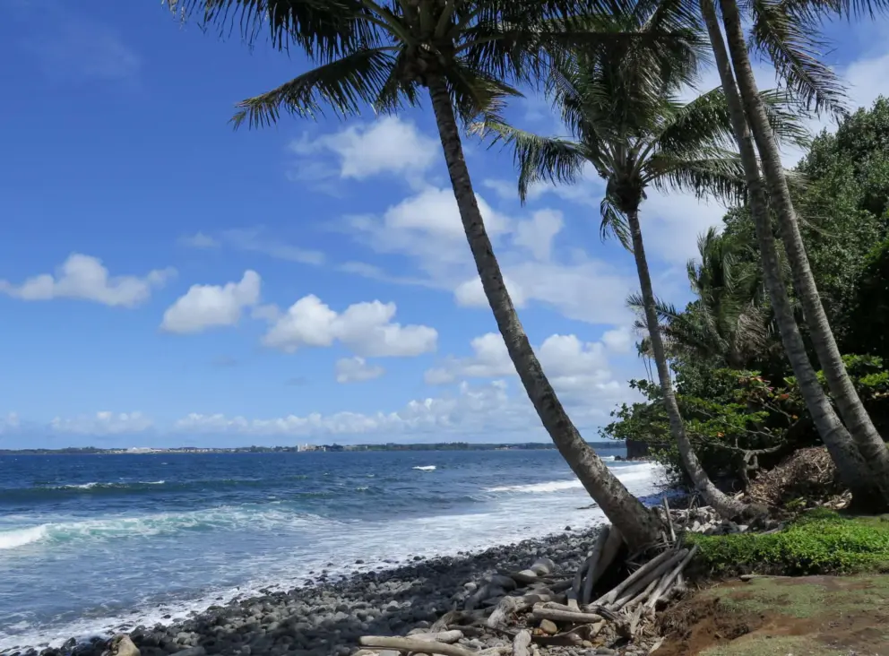 Honoli'i Beach on a windy May day.