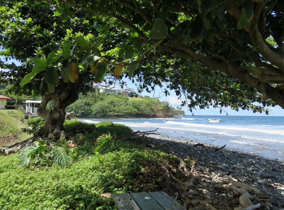 View from a picnic table. 