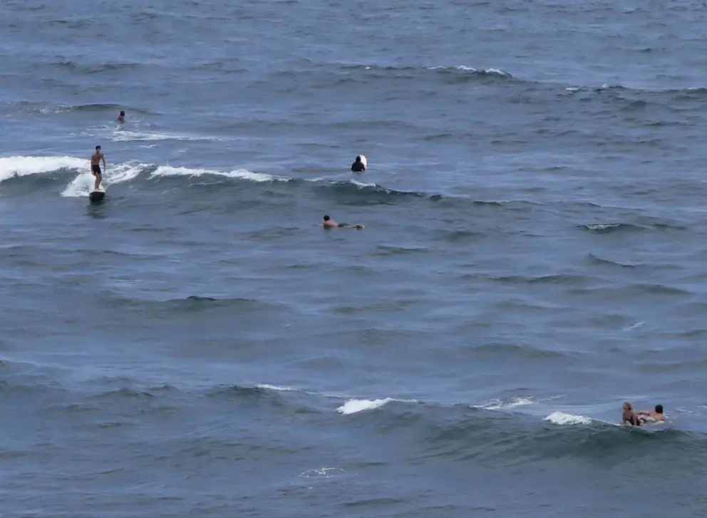 Surfer catching a ride on a choppy day in May.