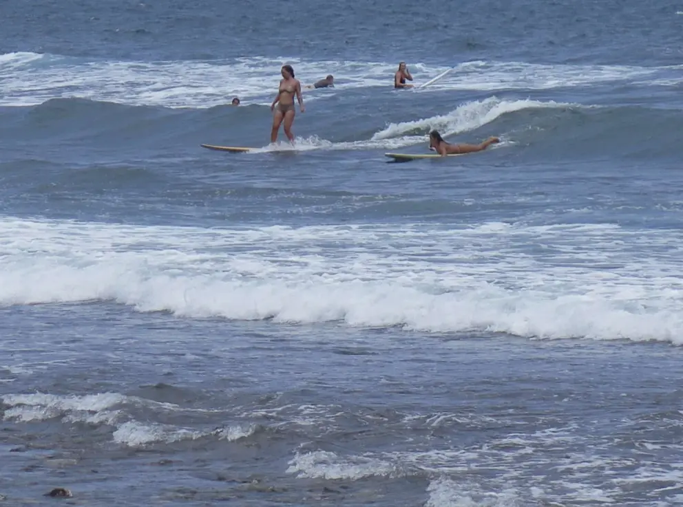 Surfer girls. 
