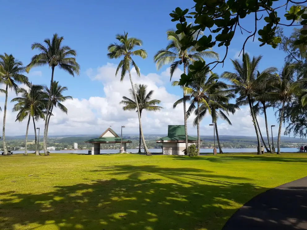 Coconut Island!