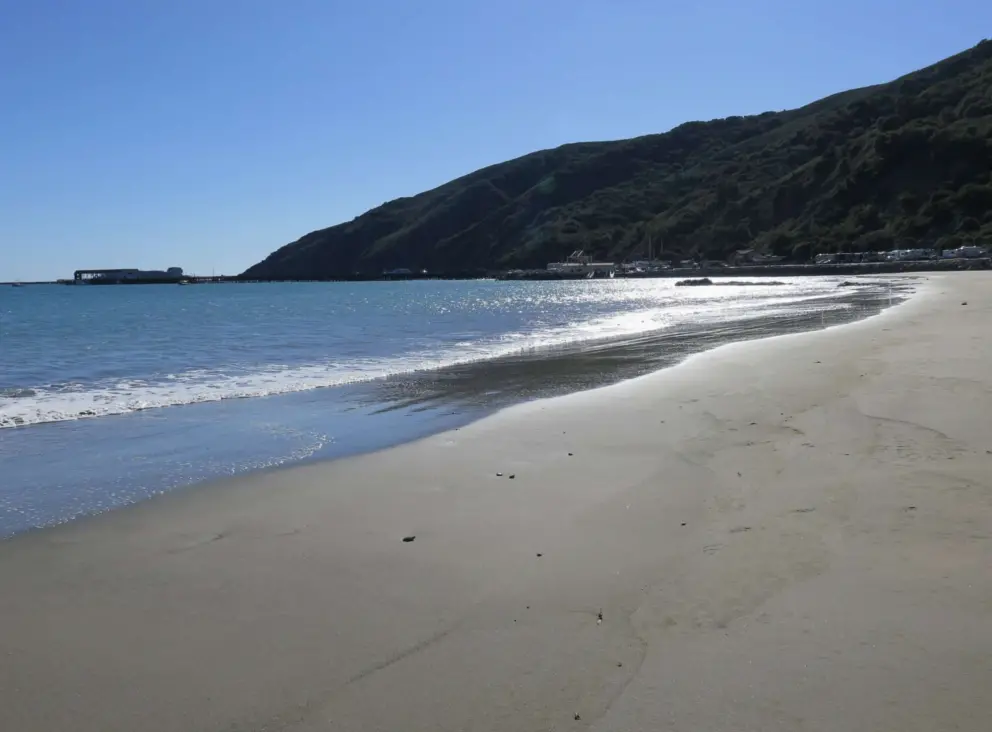 The beach is free of driftwood, shells, and pebbles, as they tend to land on Avila Beach. This makes it look quite streamlined and idyllic. 