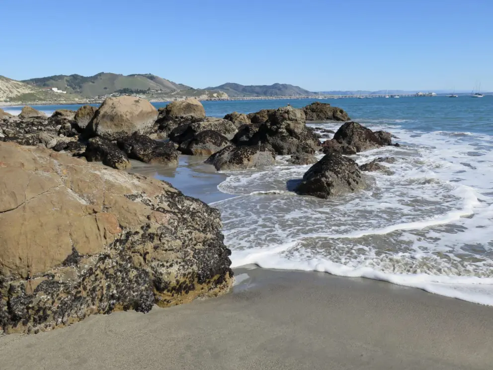 It's fun to explore the tidepools. 