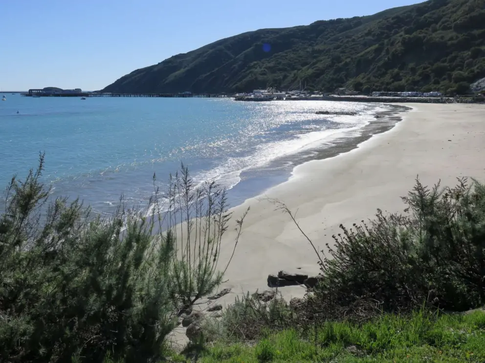 Looking down at Fisherman's Beach. The sand is clean of driftwood and other debris. 