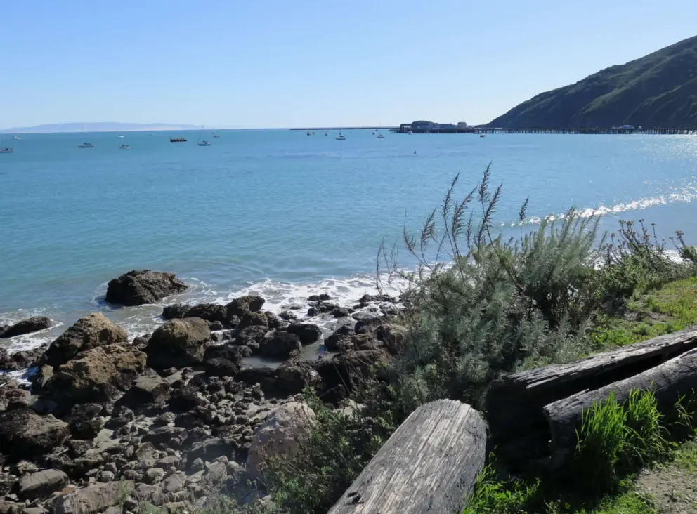 It's lovely to watch nature from the parking lot at the top of Fisherman's Beach, just north of Olde Port Beach. 