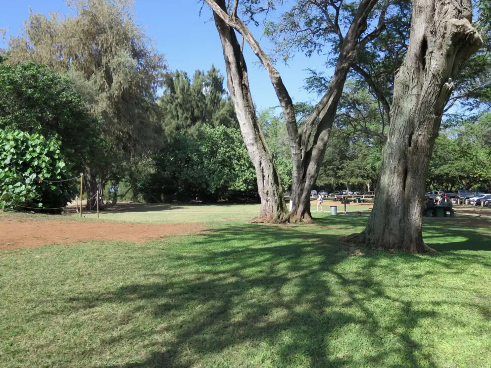 Shady spot where local families have picnics on weekends or workers come to have their lunch on weekdays. 