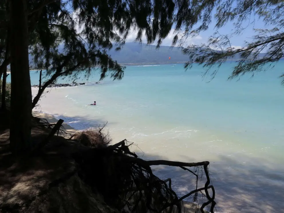 I love to stand under the trees and be immersed in the color of the water. 
