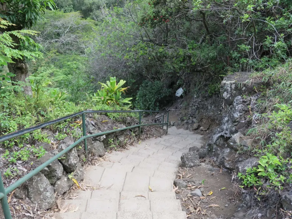 Steps to the top.
