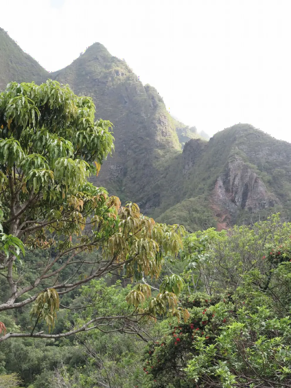 The wonderful mountain ridges. 
