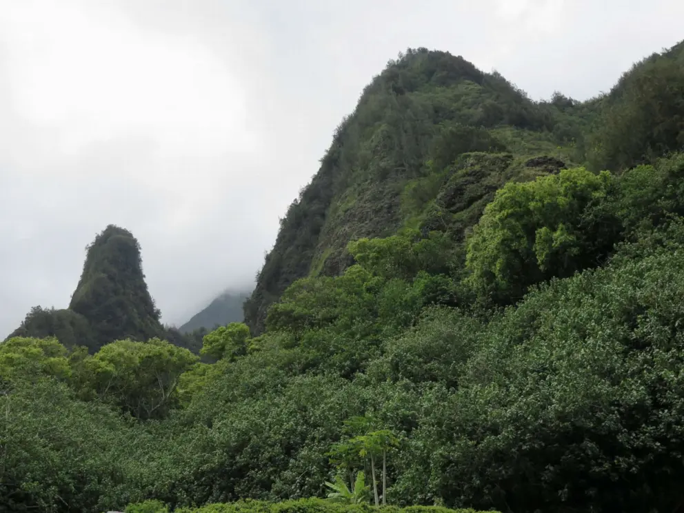 Iao Needle and the mountains around it. 