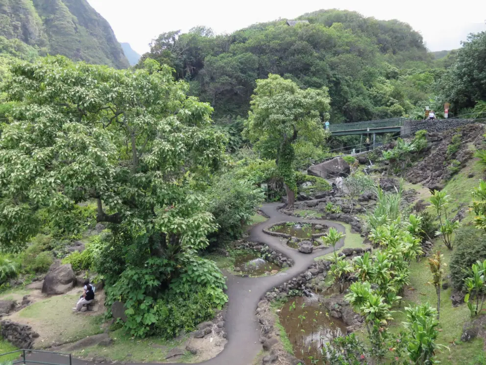 The third path, below the bridge, with Hawaiian plants and benches. 
