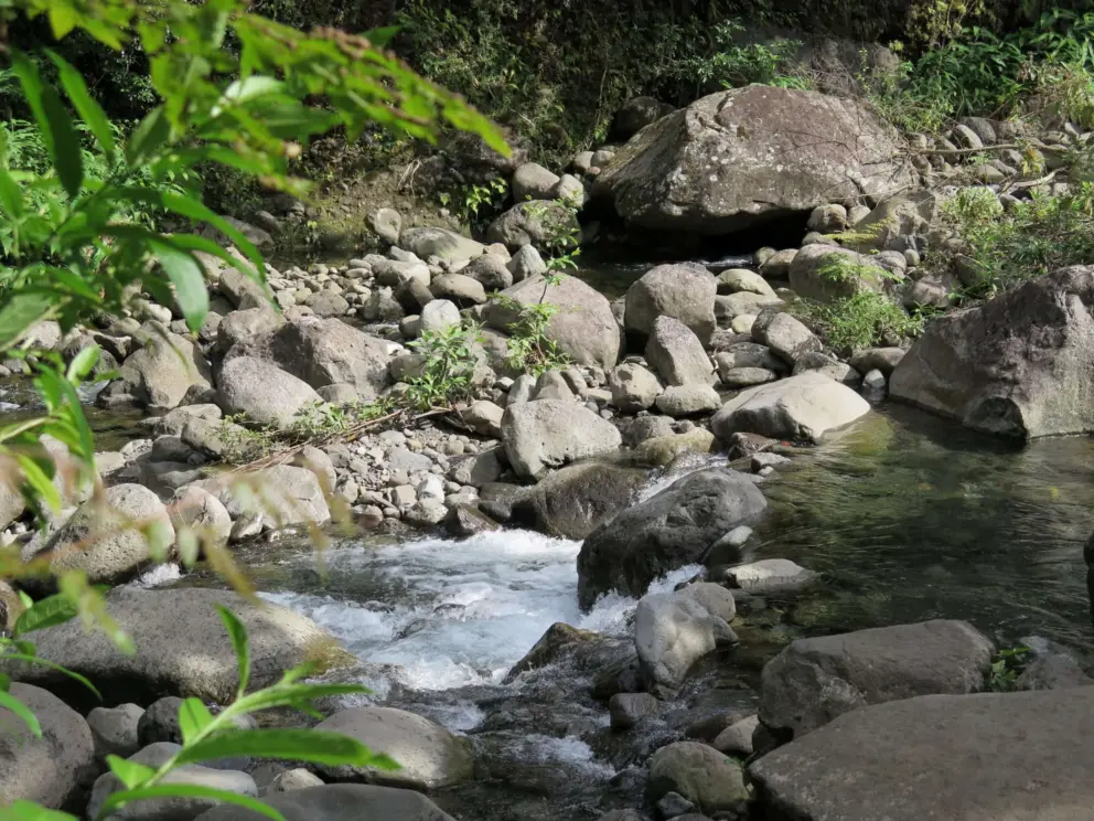 The river and its many boulders. 