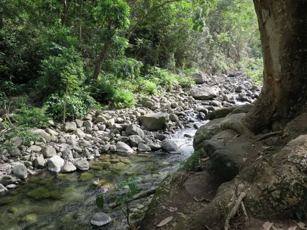 Boulders in the river. 