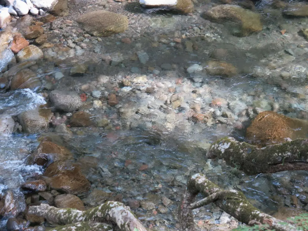 The clear water of the river. 