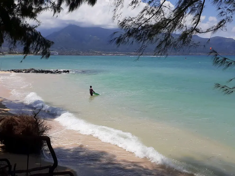 A boy enters the water with his bodyboard. 