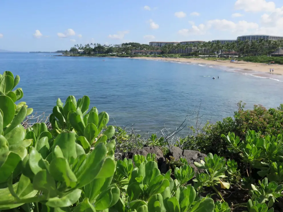 Looking down at Wailea Beach from the path. 