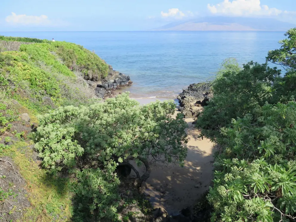 A tiny cove that you can see from the bridge. 