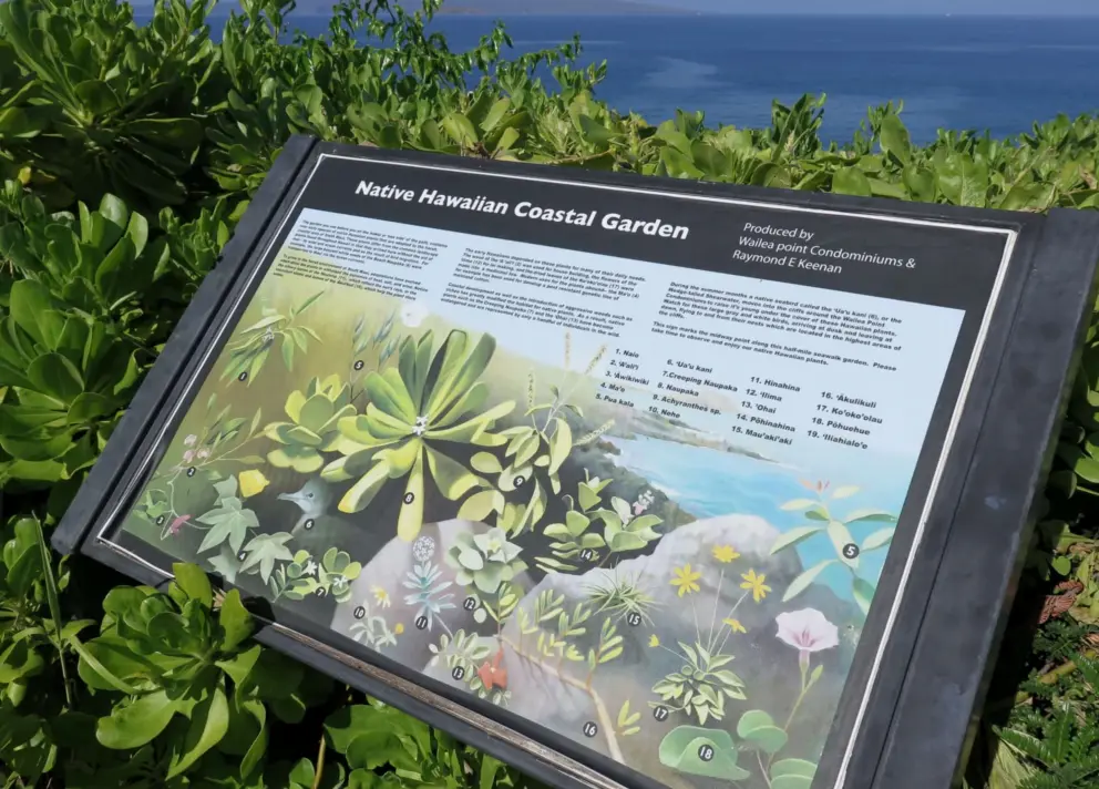 Plaque describing the native Hawaiian garden which has 60 plants on the sea side of the path at Wailea Point. 