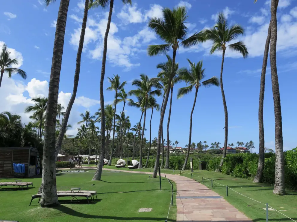 The resort grounds behind Wailea Beach.