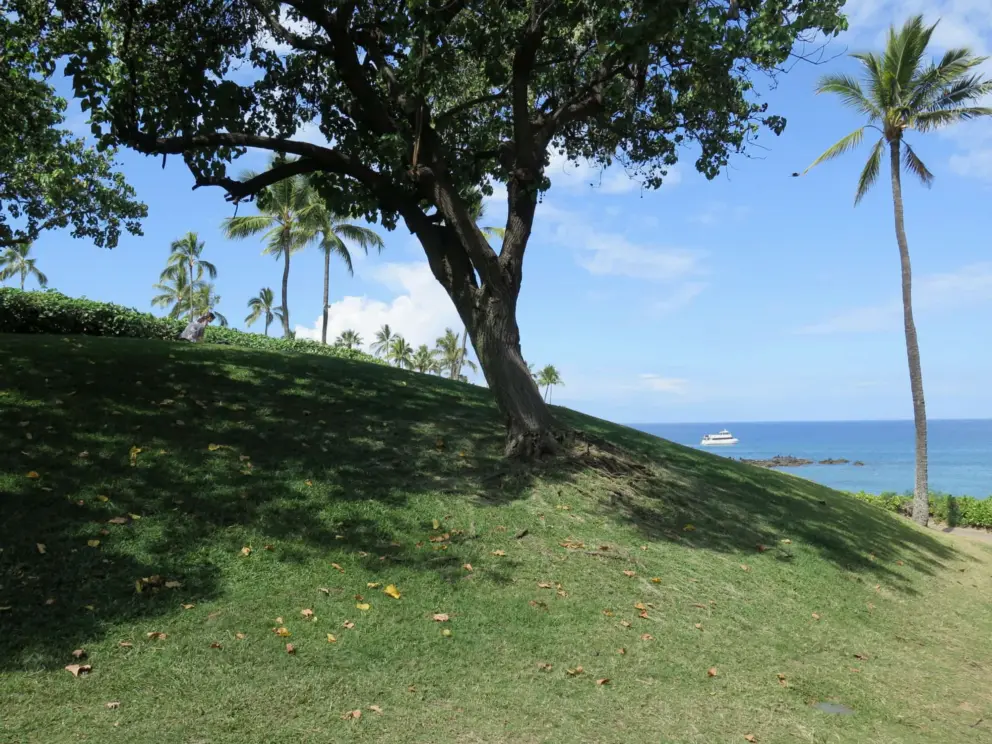 The grass mound near the public parking lot, a nice spot to sit and watch the ocean.