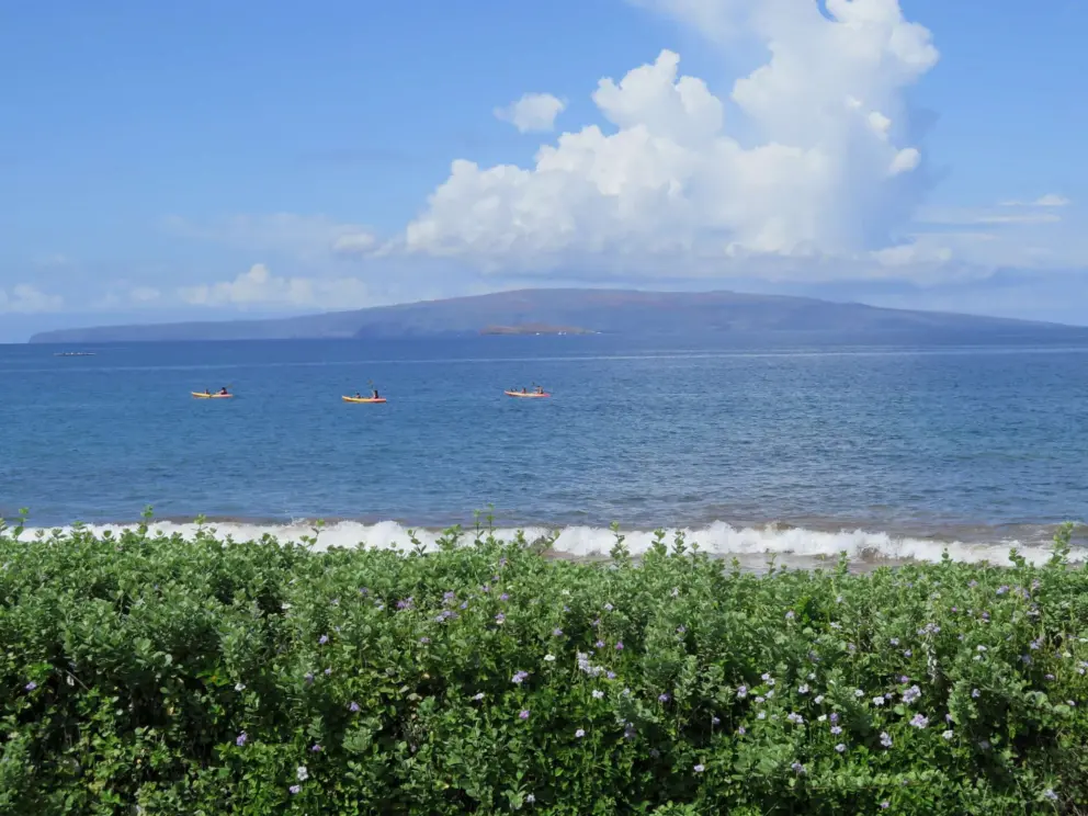 Kayakers at sea in front of Wailea Beach.