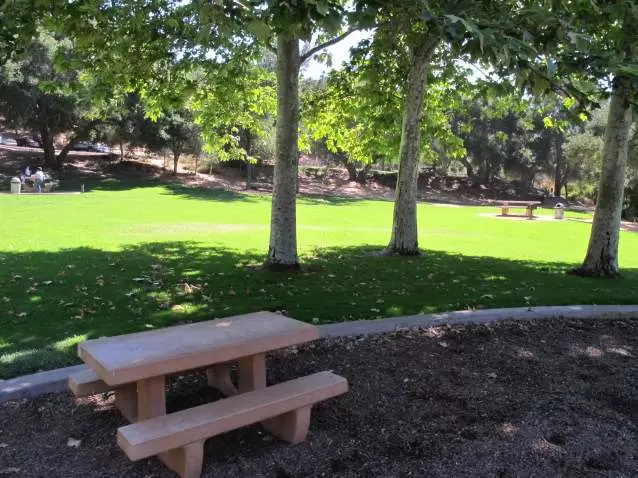 Child-sized picnic table and bright green lawn beyond.