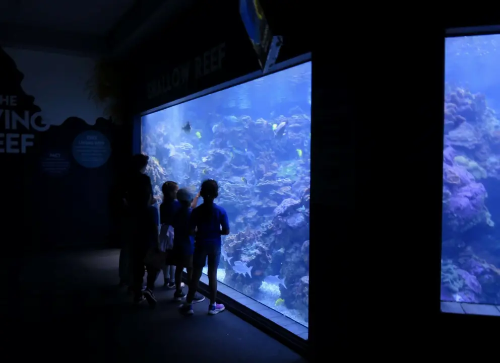 Children look at a large tank. 
