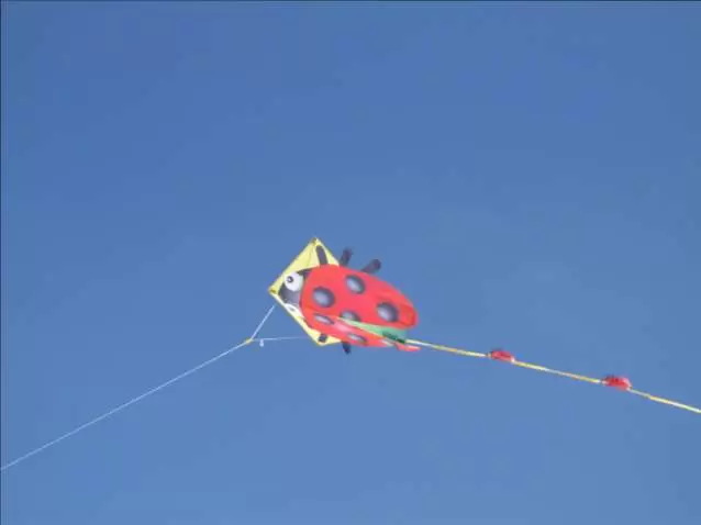 Flying our new ladybug kite on a sunny day at Harbor Cove Beach.