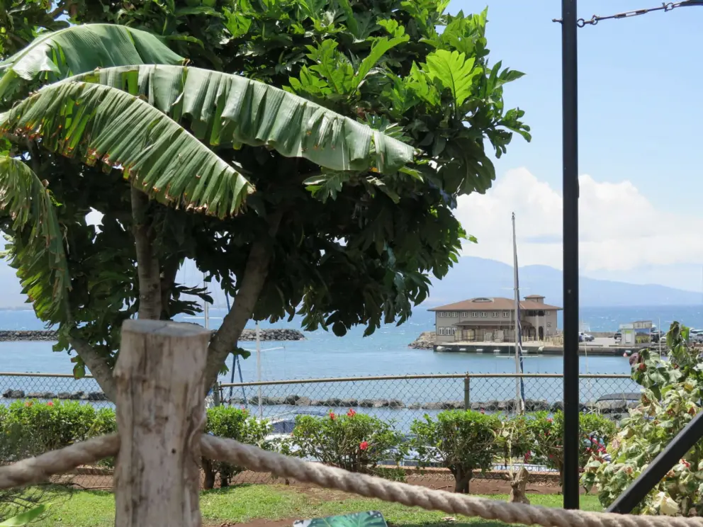 View of the harbor. Beautiful!