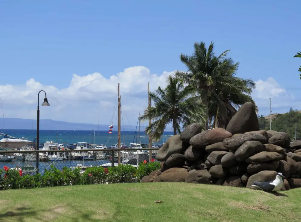 Fishermen's shrine, or Ko'a. 