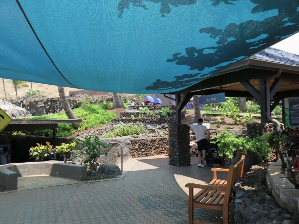 The turtle lagoon area. 