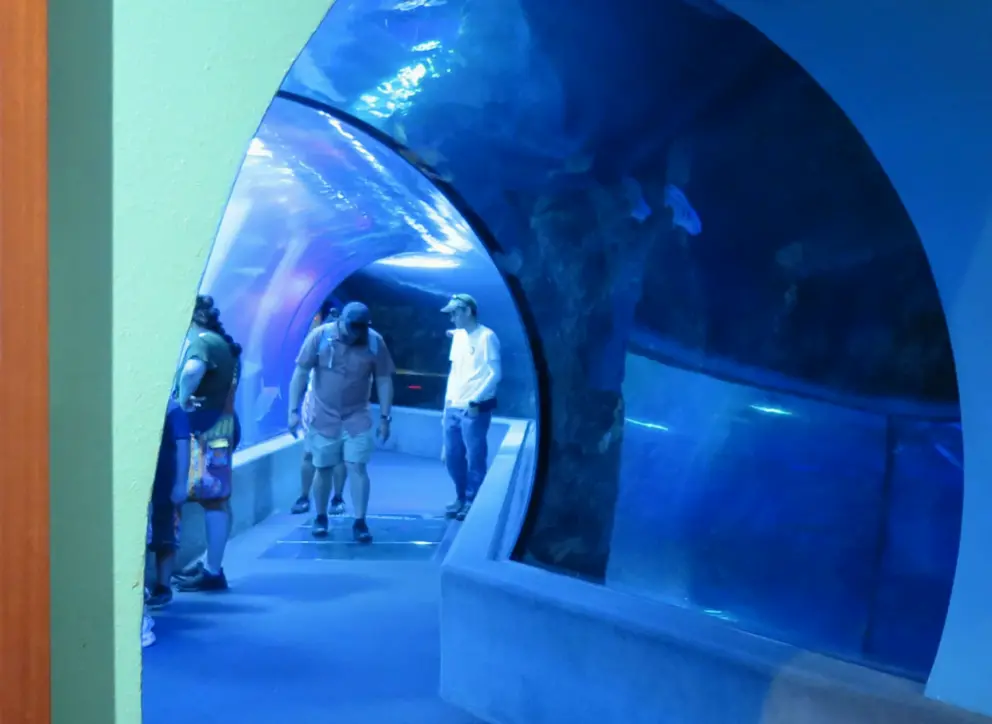 You can see through the top and bottom of the tunnel.