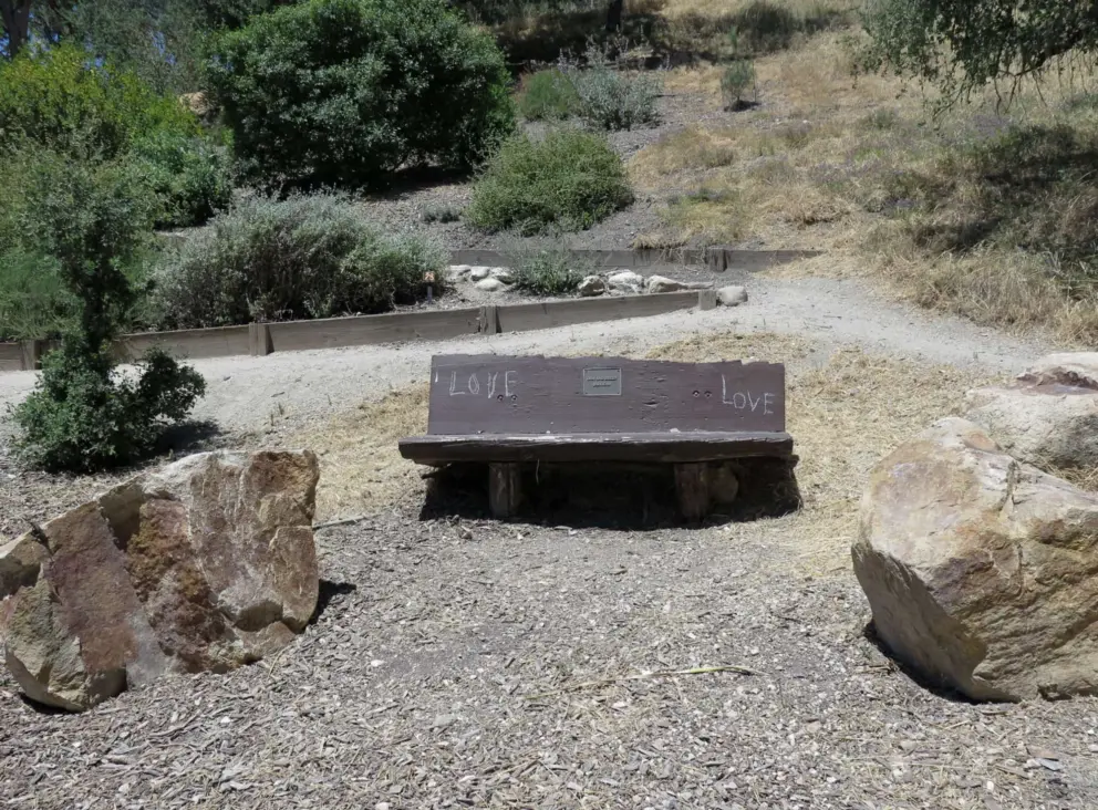Bench with love engraved in it.