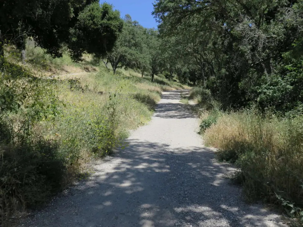 Shady trail.