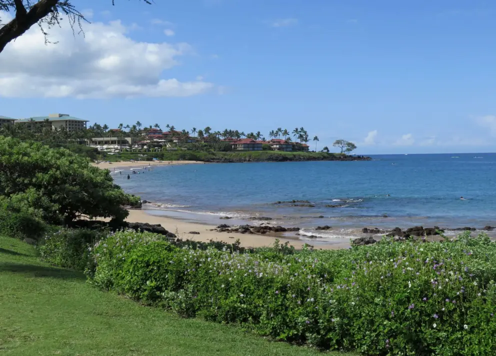 Flowers in front of Wailea Beach.