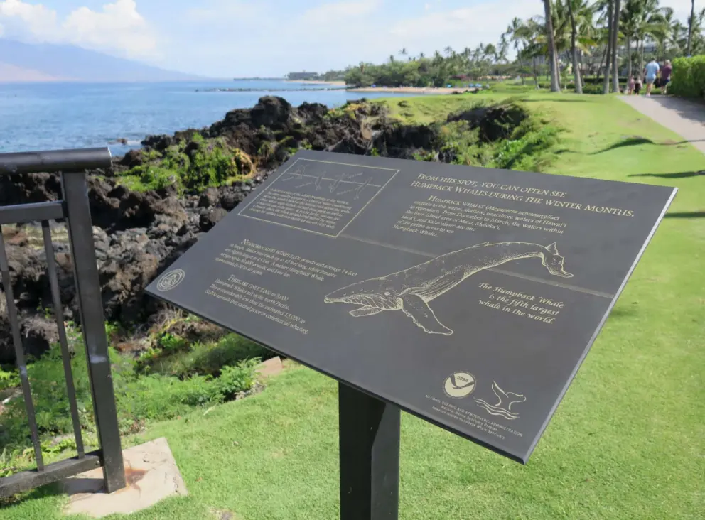 Plaque about humpback whale sightings in winter. 