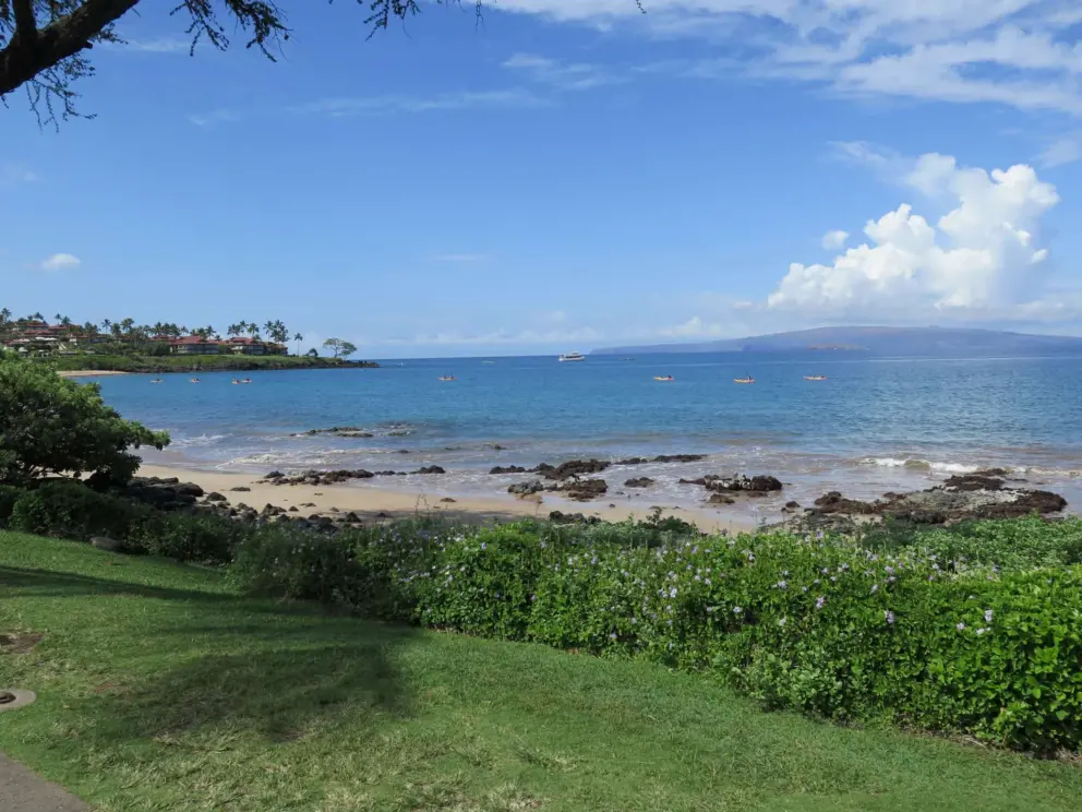 Blue flowers, and the island off Wailea Beach!